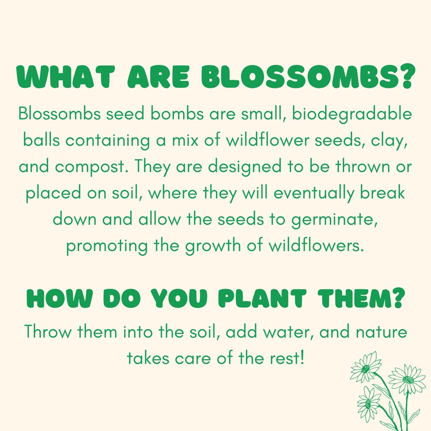 Blossombs Medium Box